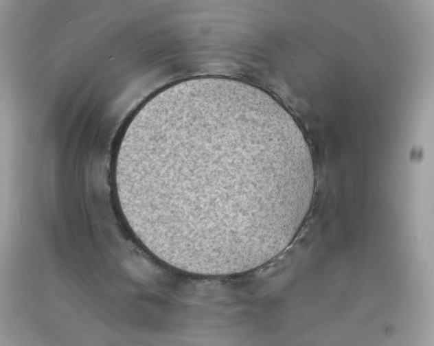 X0000091010146200708162005