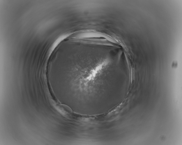 X0000091010147200708162005