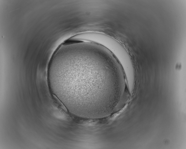 X0000091010148200708162005