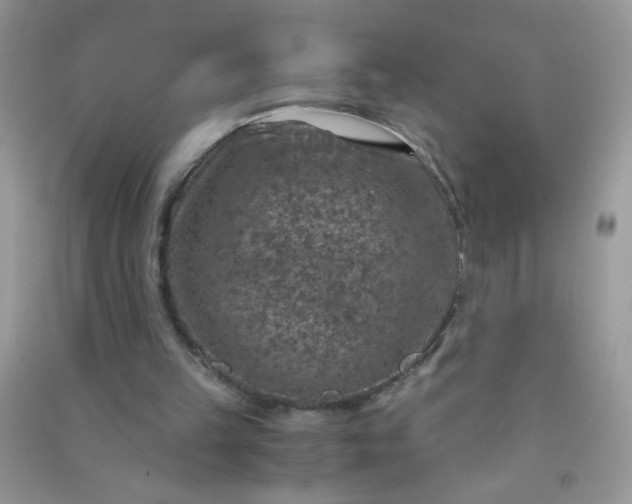 X0000091010149200708162005