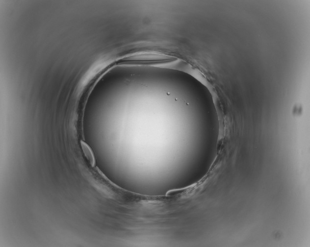 X0000091010150200708162005