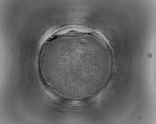 X0000091010151200708162005