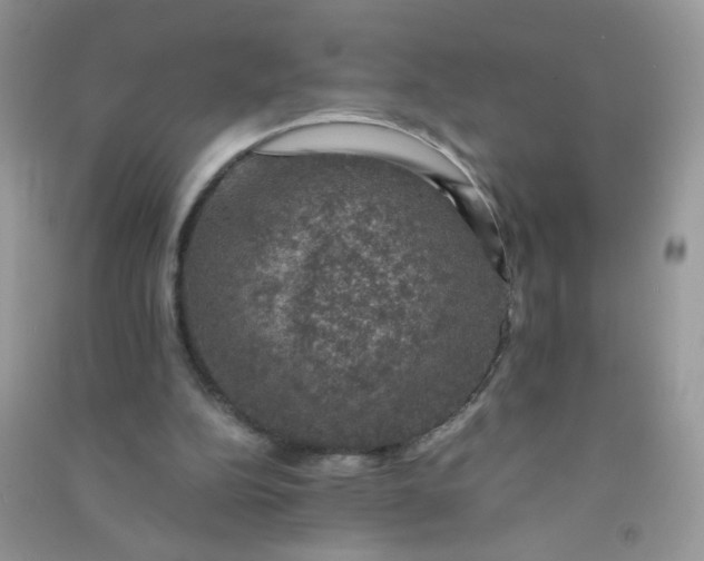 X0000091010152200708162005