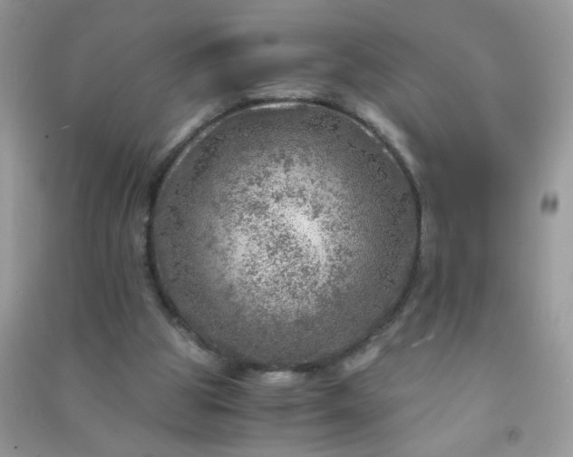 X0000091010153200708162005