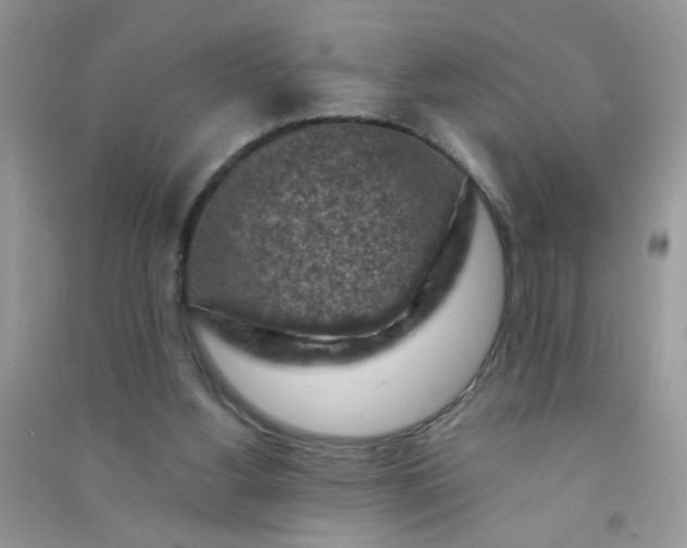 X0000091010156200708162005