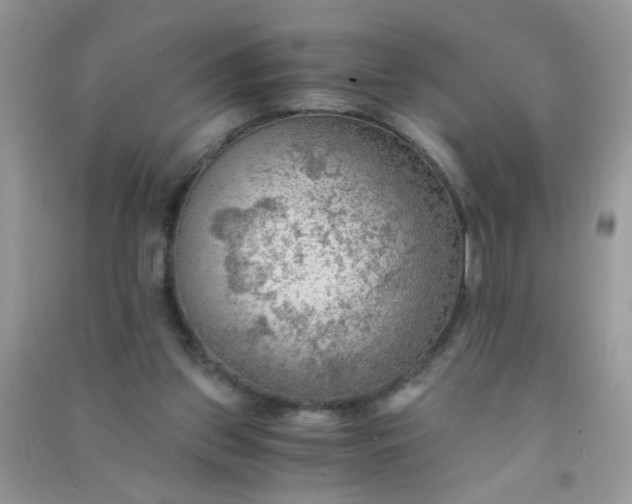 X0000091010157200708162005