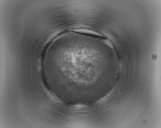 X0000091010158200708162005