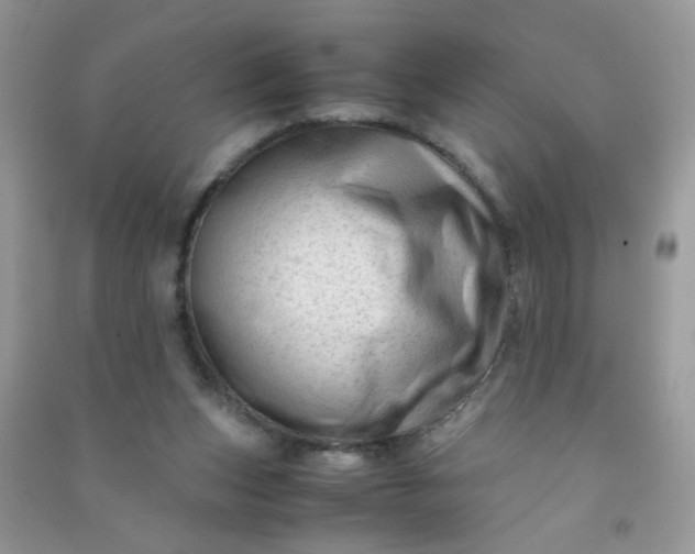 X0000091010159200708162005