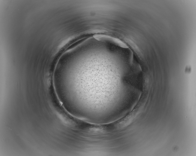 X0000091010160200708162005