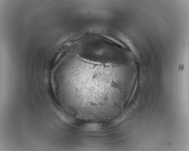 X0000091010161200708162005