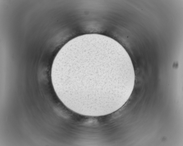 X0000091010162200708162005