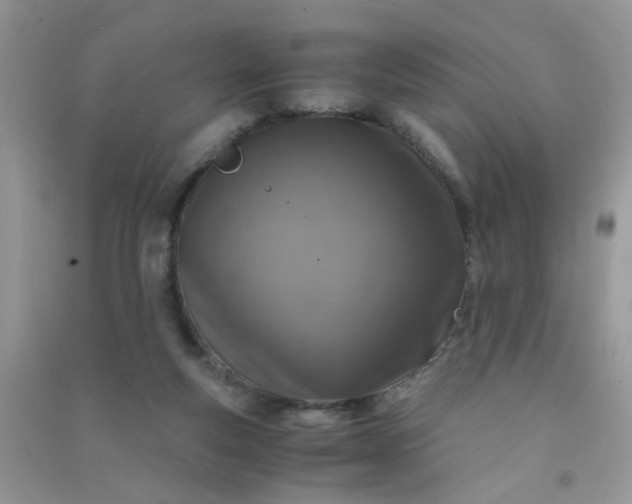 X0000091010163200708162005