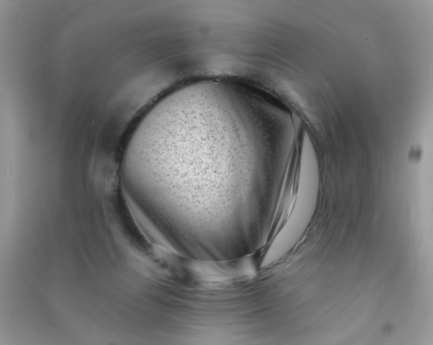 X0000091010164200708162005