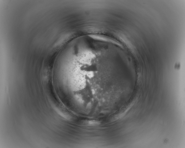 X0000091010165200708162005