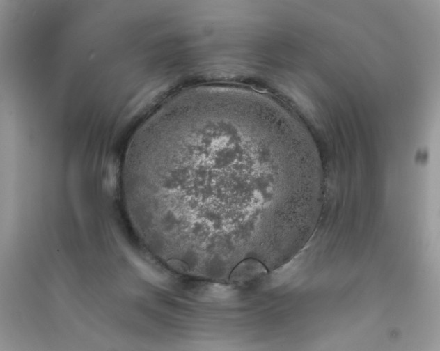 X0000091010166200708162005