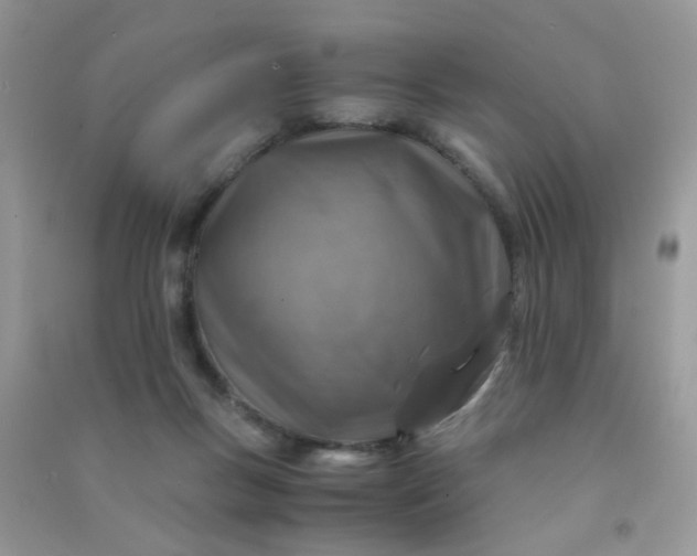 X0000091010167200708162005