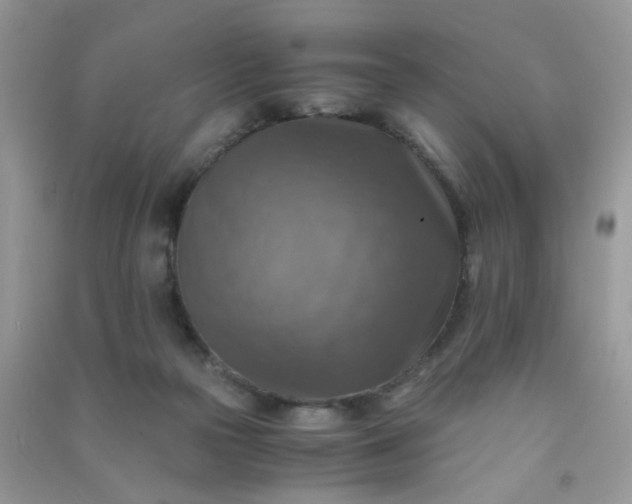 X0000091010169200708162005