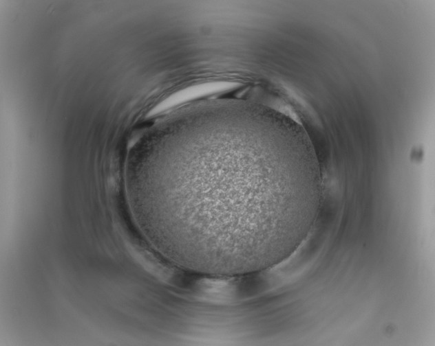 X0000091010170200708162005