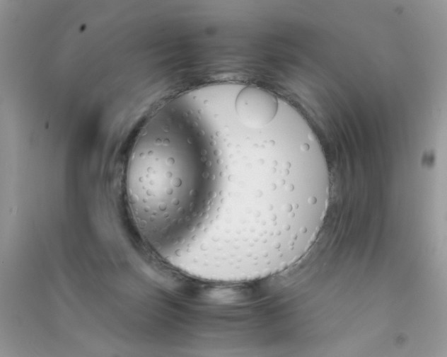 X0000091010171200708162005