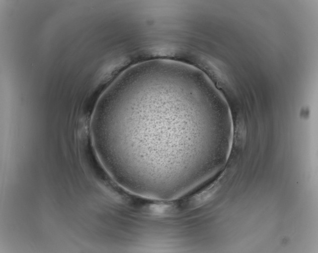 X0000091010172200708162005