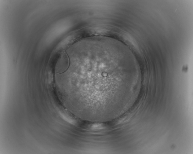 X0000091010173200708162005