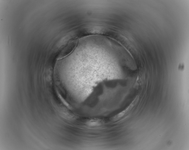 X0000091010175200708162005