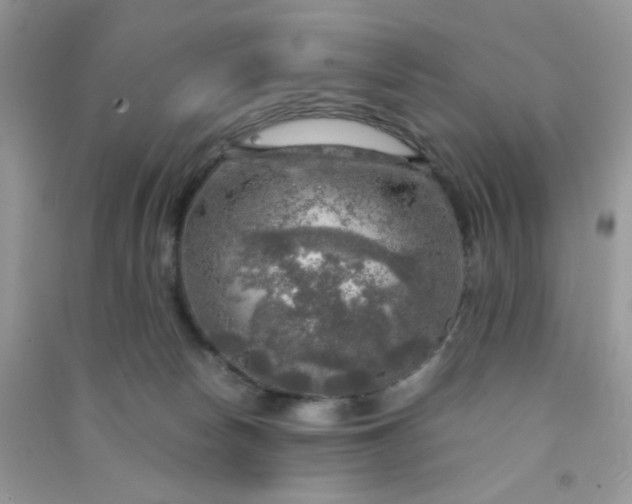 X0000091010178200708162005