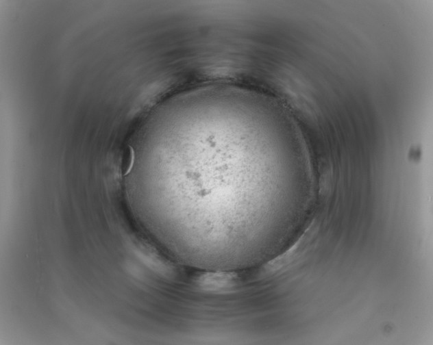 X0000091010179200708162005