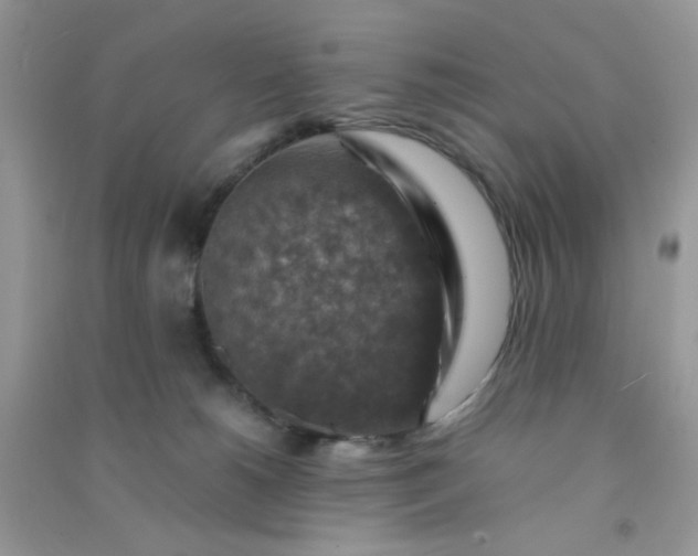 X0000091010180200708162005