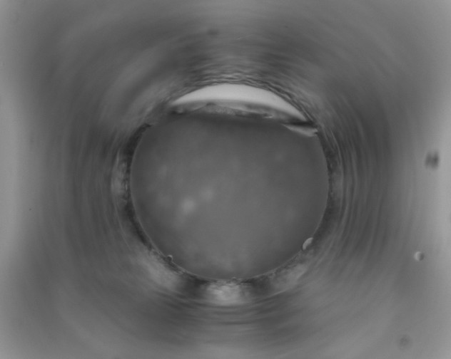 X0000091010181200708162005