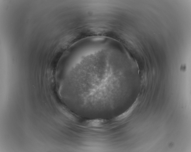 X0000091010182200708162006