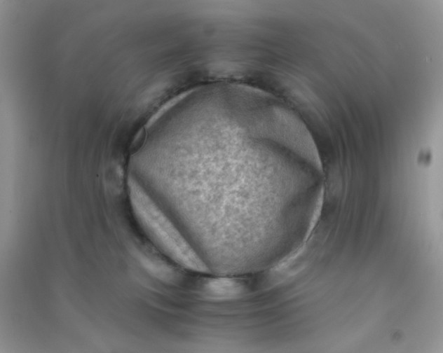 X0000091010183200708162006