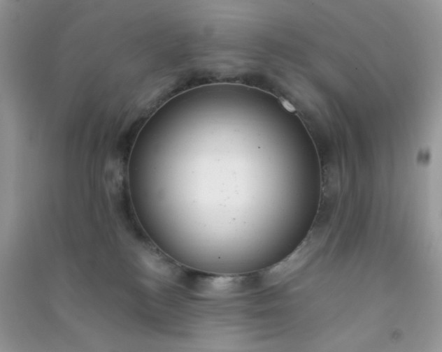 X0000091010184200708162006