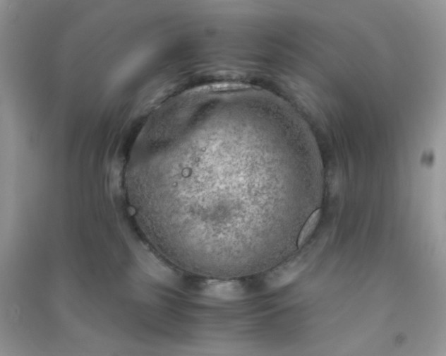 X0000091010185200708162006