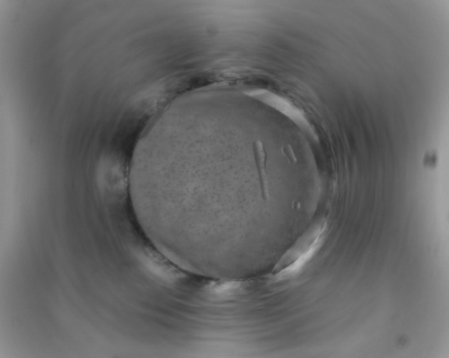 X0000091010186200708162006