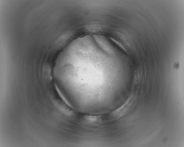 X0000091010187200708162006