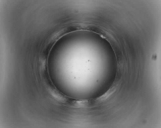 X0000091010188200708162006