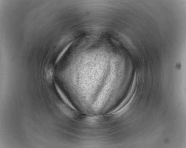 X0000091010190200708162006