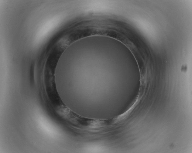 X0000091010191200708162006