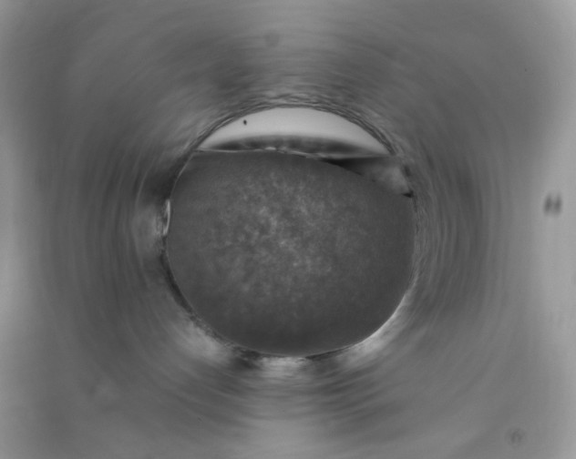 X0000091010192200708162006