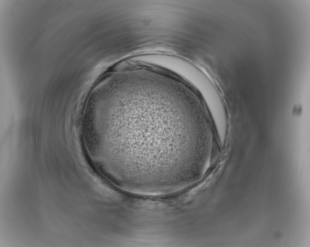 X0000091010193200708162005