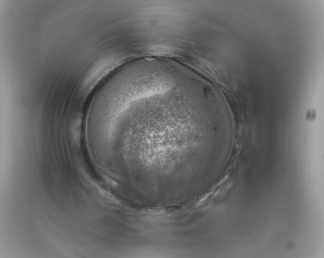 X0000091010194200708162005