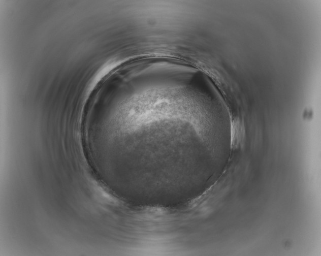 X0000091010195200708162005