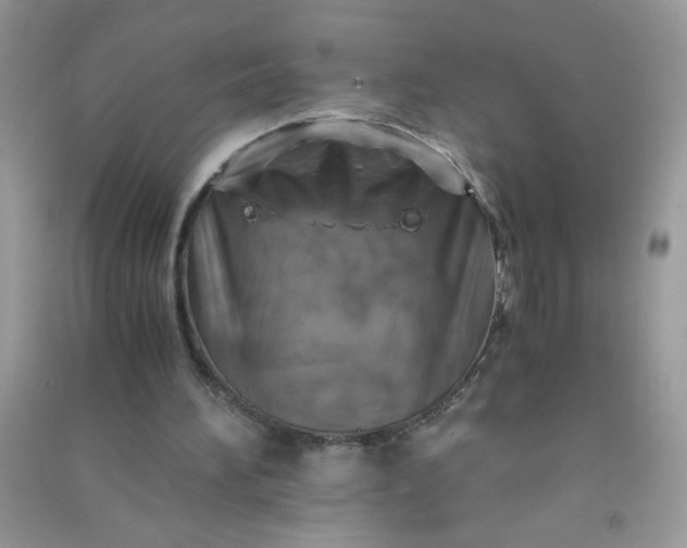 X0000091010196200708162005