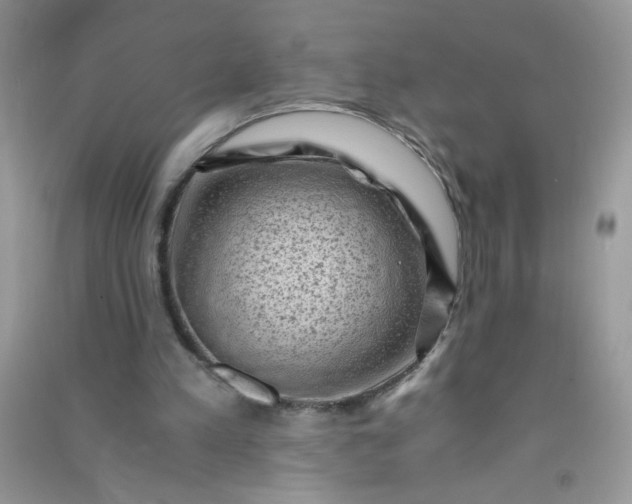 X0000091010197200708162005