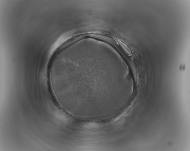 X0000091010198200708162005