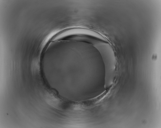 X0000091010200200708162005