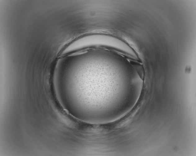 X0000091010201200708162005