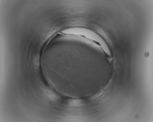 X0000091010202200708162005