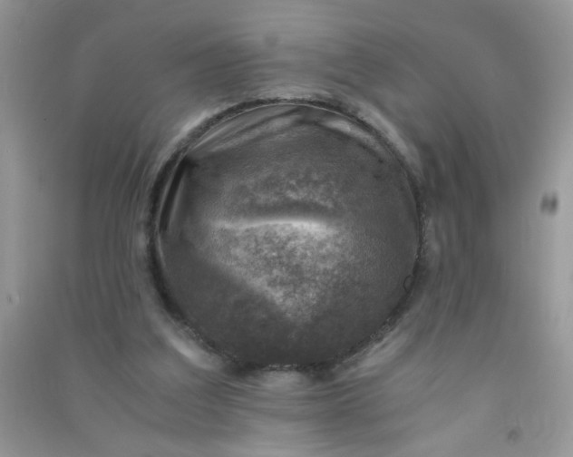 X0000091010203200708162005